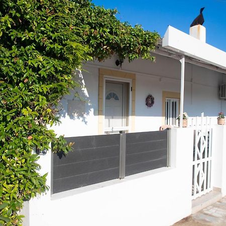Livadi House Villa Theológos Exteriör bild