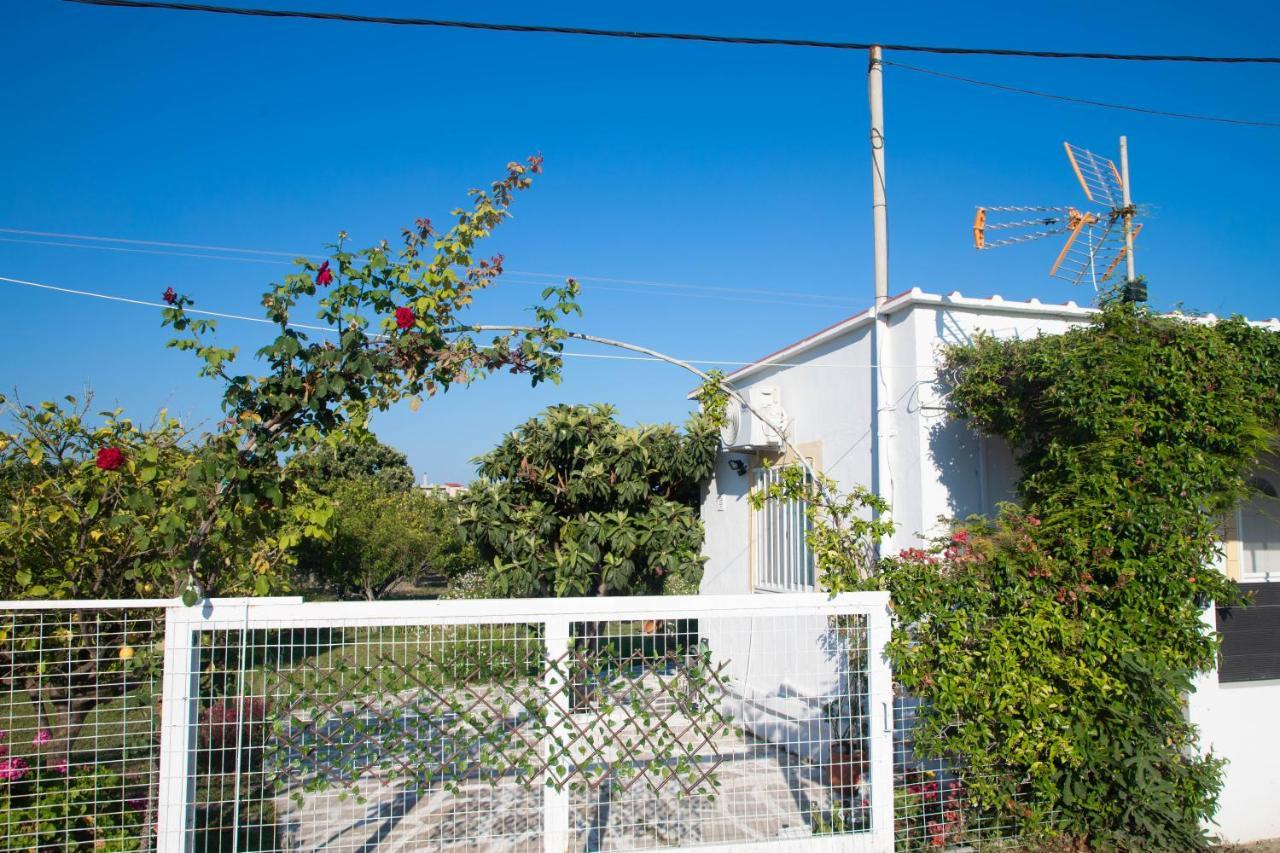 Livadi House Villa Theológos Exteriör bild